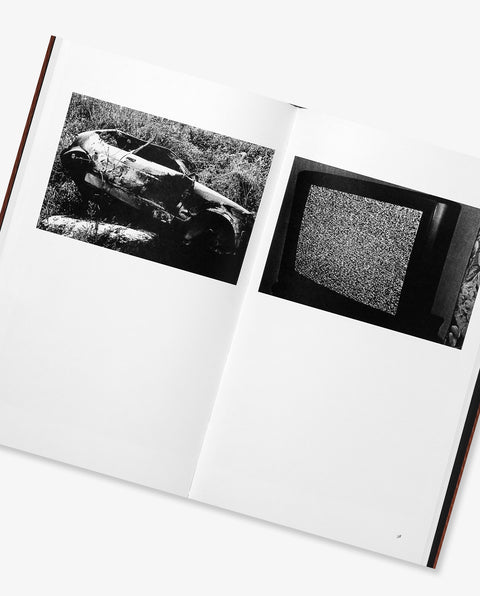 Daido Moriyama: Sunflower