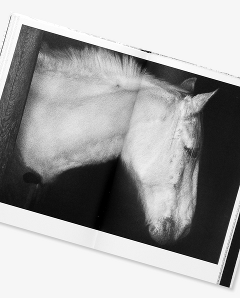 Daido Moriyama: Dazai