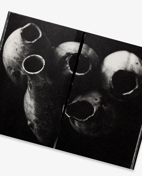 The Map (Reprint Edition)