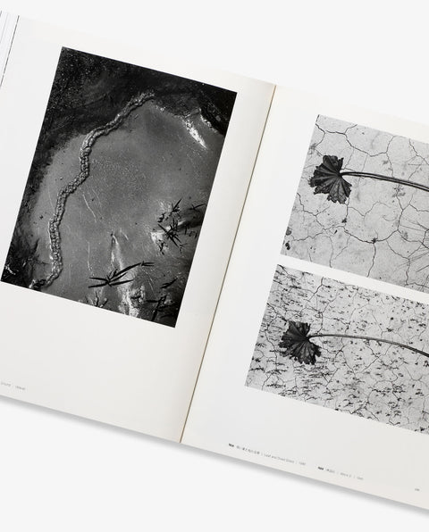 Nakaji Yasui Photographer 1903 - 1942 (Soft cover)