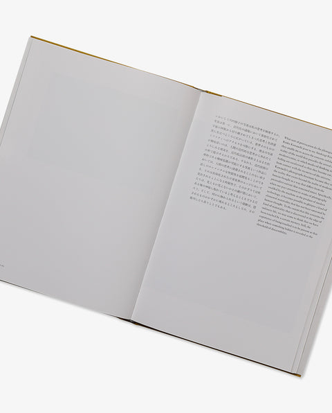 Inhabiting Light Dialogue on the Edge of the Everyday World