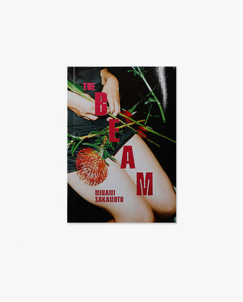 BEAM Standard Edition