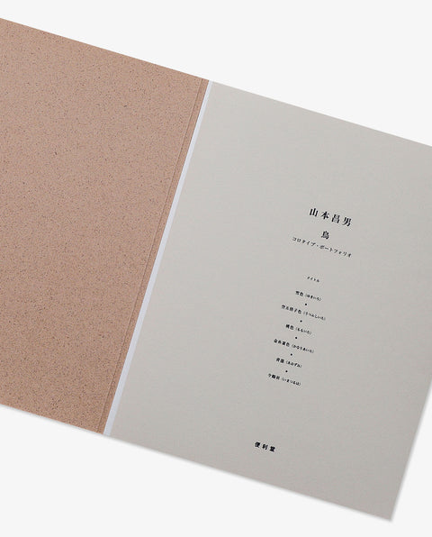 Yamamoto Masao｜Birds
