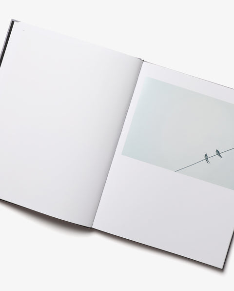 Des Oiseaux - Rinko Kawauchi