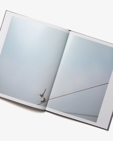 Des Oiseaux - Rinko Kawauchi