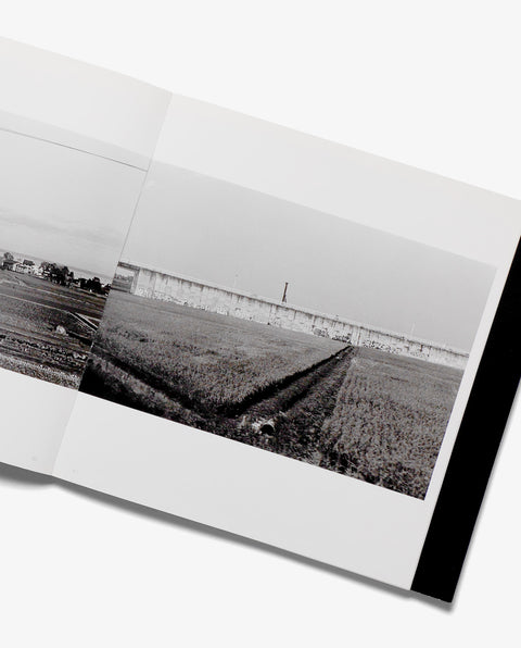 IN' The fortune of urban cities which they themselves have dreamed of