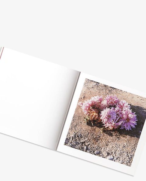 Magical Transit Days