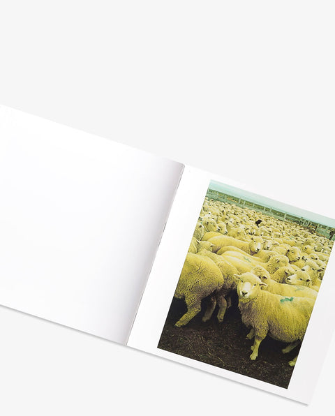 Magical Transit Days