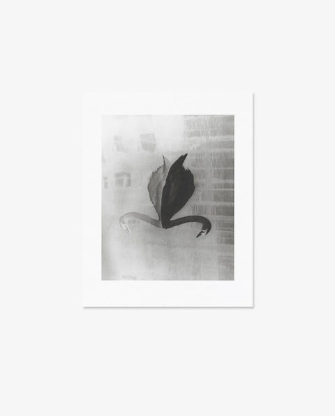 Sayuri Ichida｜Absentee