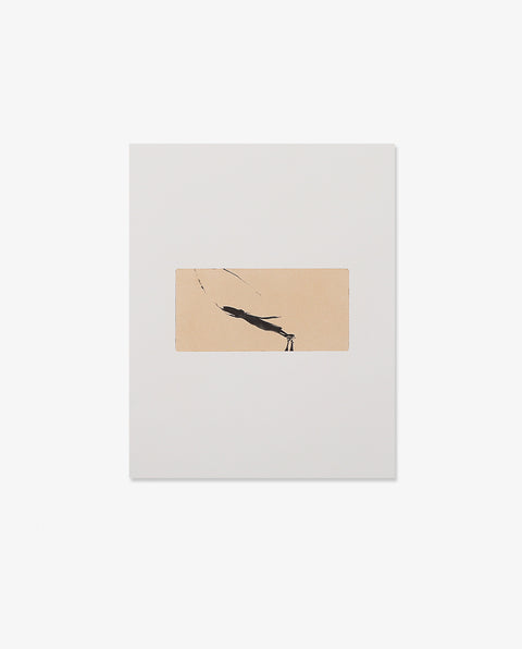 Miho Kajioka｜memories of future